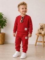 Erkek Bebek %100 Pamuk Gofre Kumaş Günlük Takım - Görsel 5